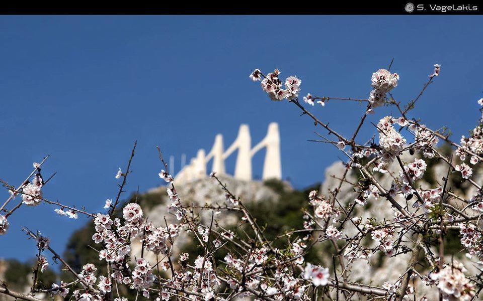 Hotel Fotini ミティカス エクステリア 写真